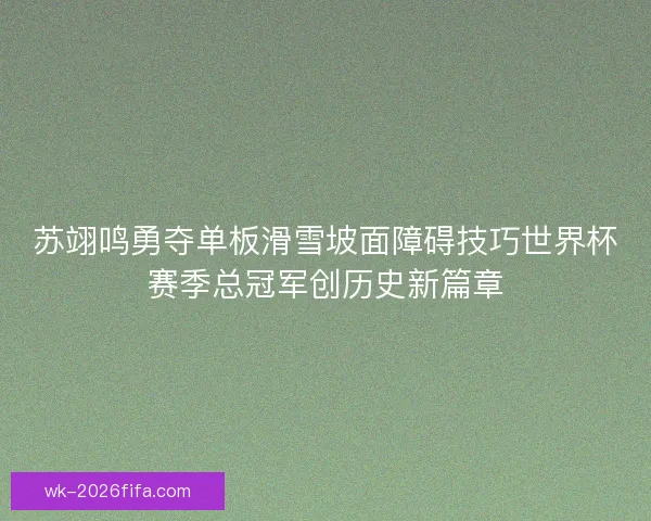 苏翊鸣勇夺单板滑雪坡面障碍技巧世界杯赛季总冠军创历史新篇章