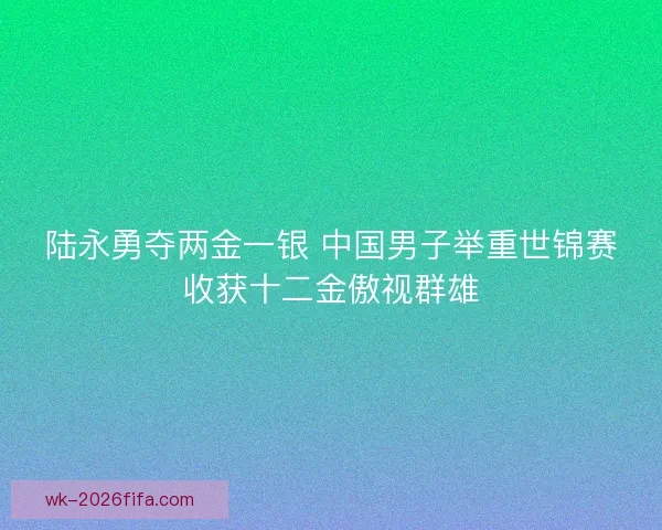 陆永勇夺两金一银 中国男子举重世锦赛收获十二金傲视群雄 陆永勇夺两金一银 中国男子举重世锦赛收获十二金傲视群雄
