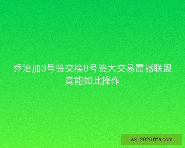 乔治加3号签交换8号签大交易震撼联盟竟能如此操作