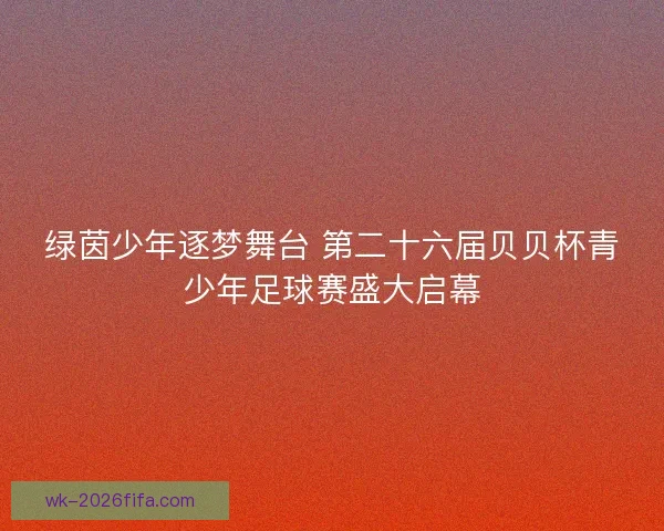 绿茵少年逐梦舞台 第二十六届贝贝杯青少年足球赛盛大启幕 绿茵少年逐梦舞台 第二十六届贝贝杯青少年足球赛盛大启幕