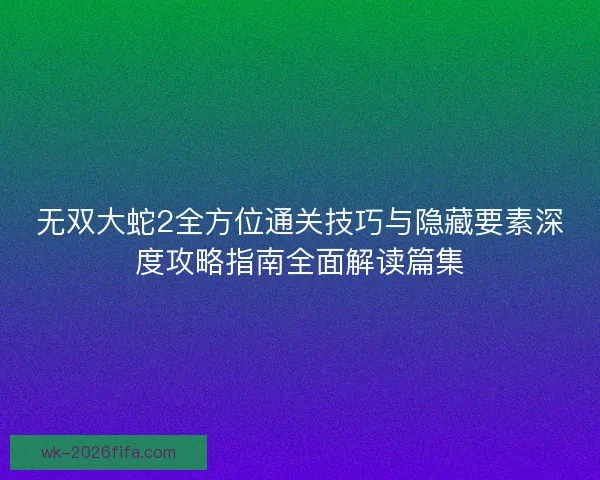 无双大蛇2全方位通关技巧与隐藏要素深度攻略指南全面解读篇集